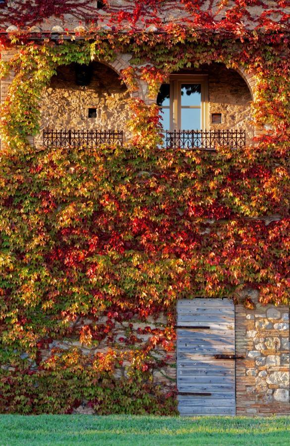 Relais Sant'Elena Bed & Breakfast Bibbona Dış mekan fotoğraf