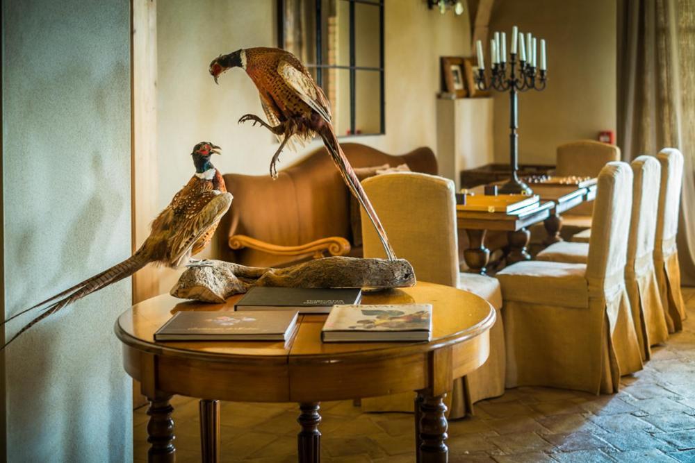 Relais Sant'Elena Bed & Breakfast Bibbona Dış mekan fotoğraf