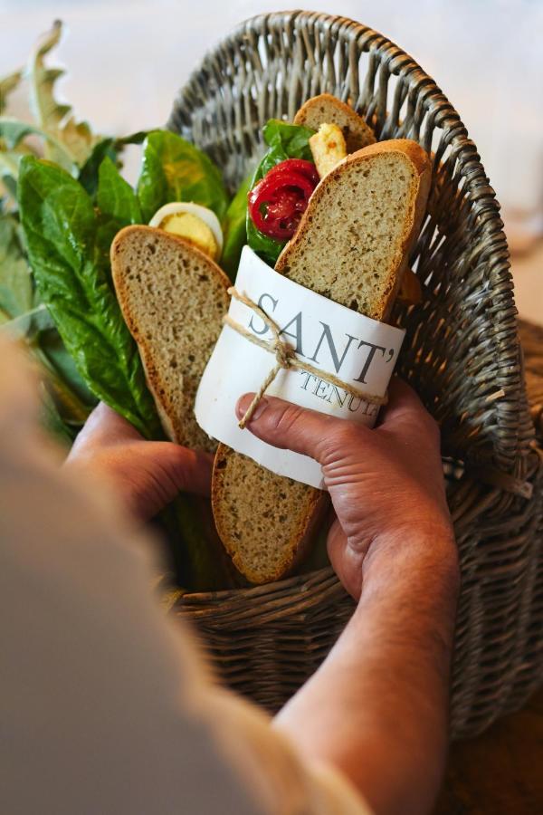Relais Sant'Elena Bed & Breakfast Bibbona Dış mekan fotoğraf