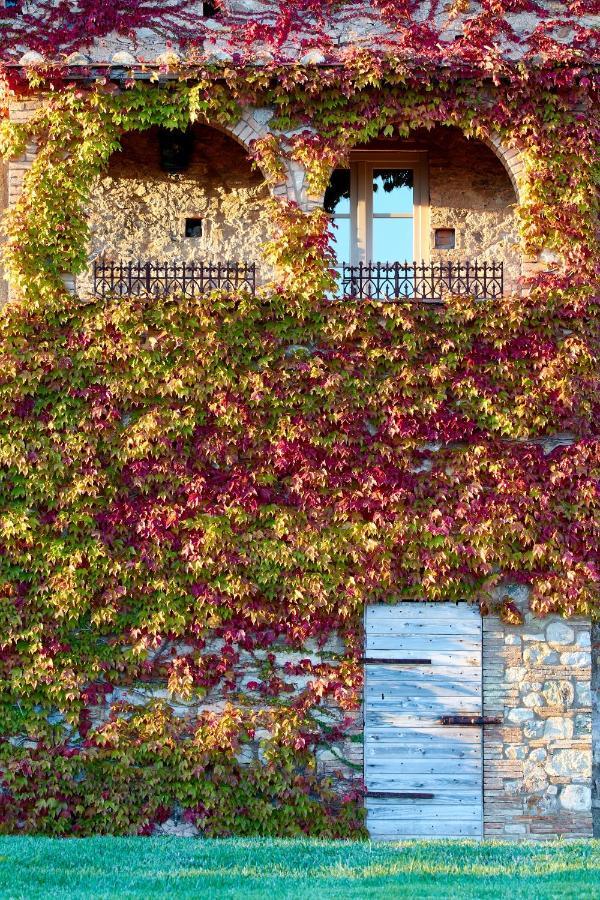 Relais Sant'Elena Bed & Breakfast Bibbona Dış mekan fotoğraf