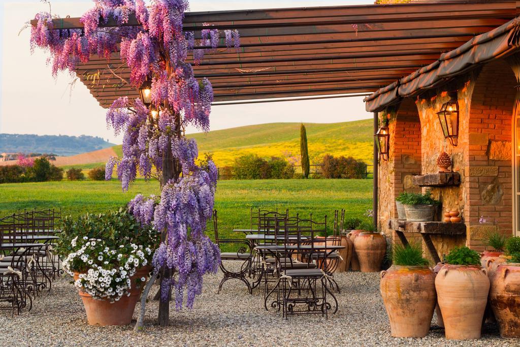 Relais Sant'Elena Bed & Breakfast Bibbona Dış mekan fotoğraf
