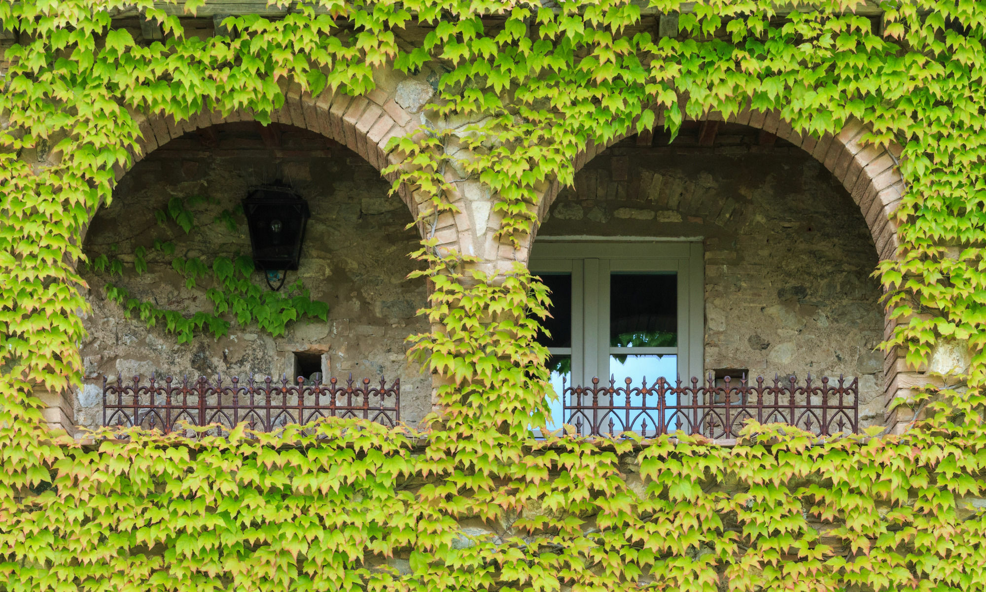 Relais Sant'Elena Bed & Breakfast Bibbona Dış mekan fotoğraf